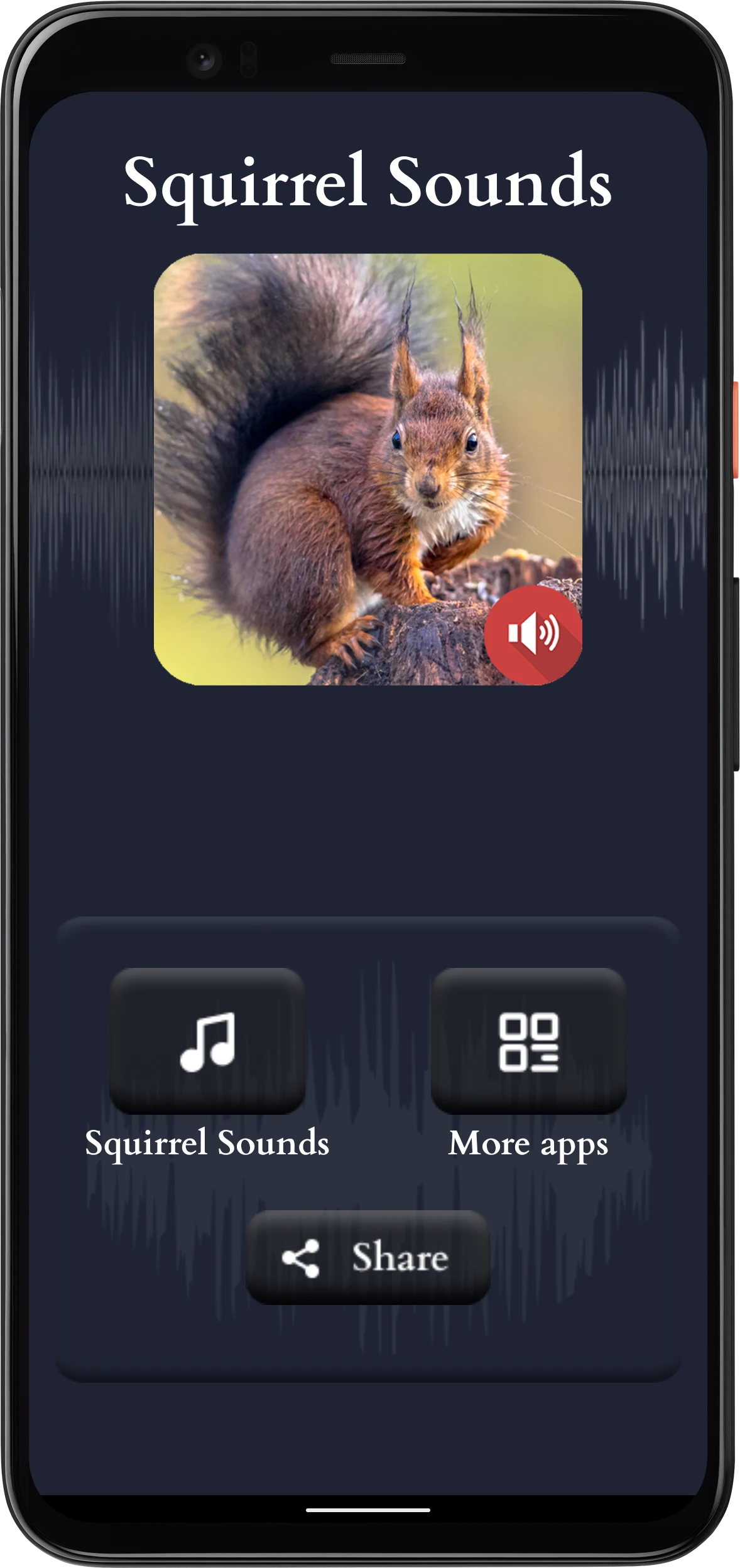 Squirrel Sounds screenshot