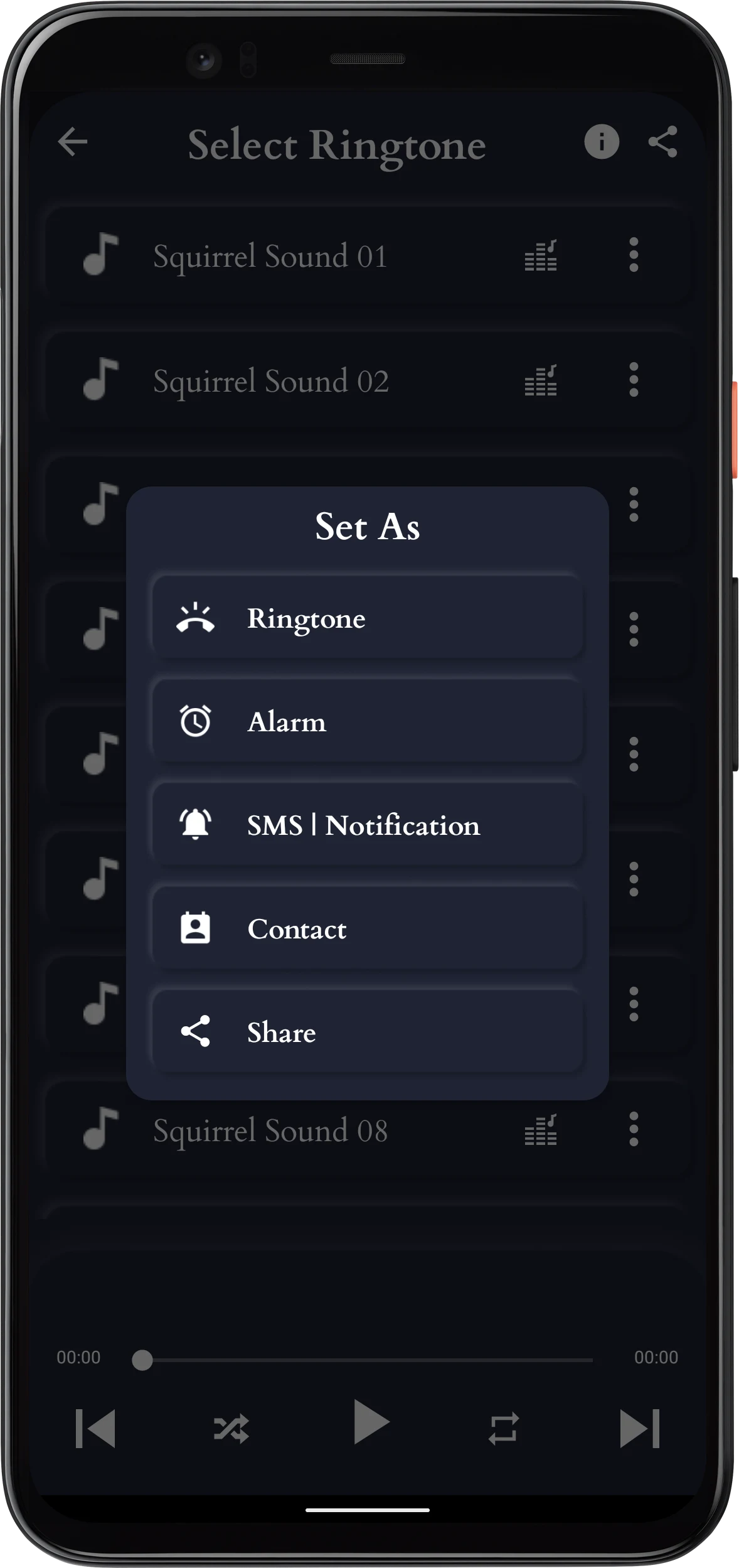 Squirrel Sounds screenshot
